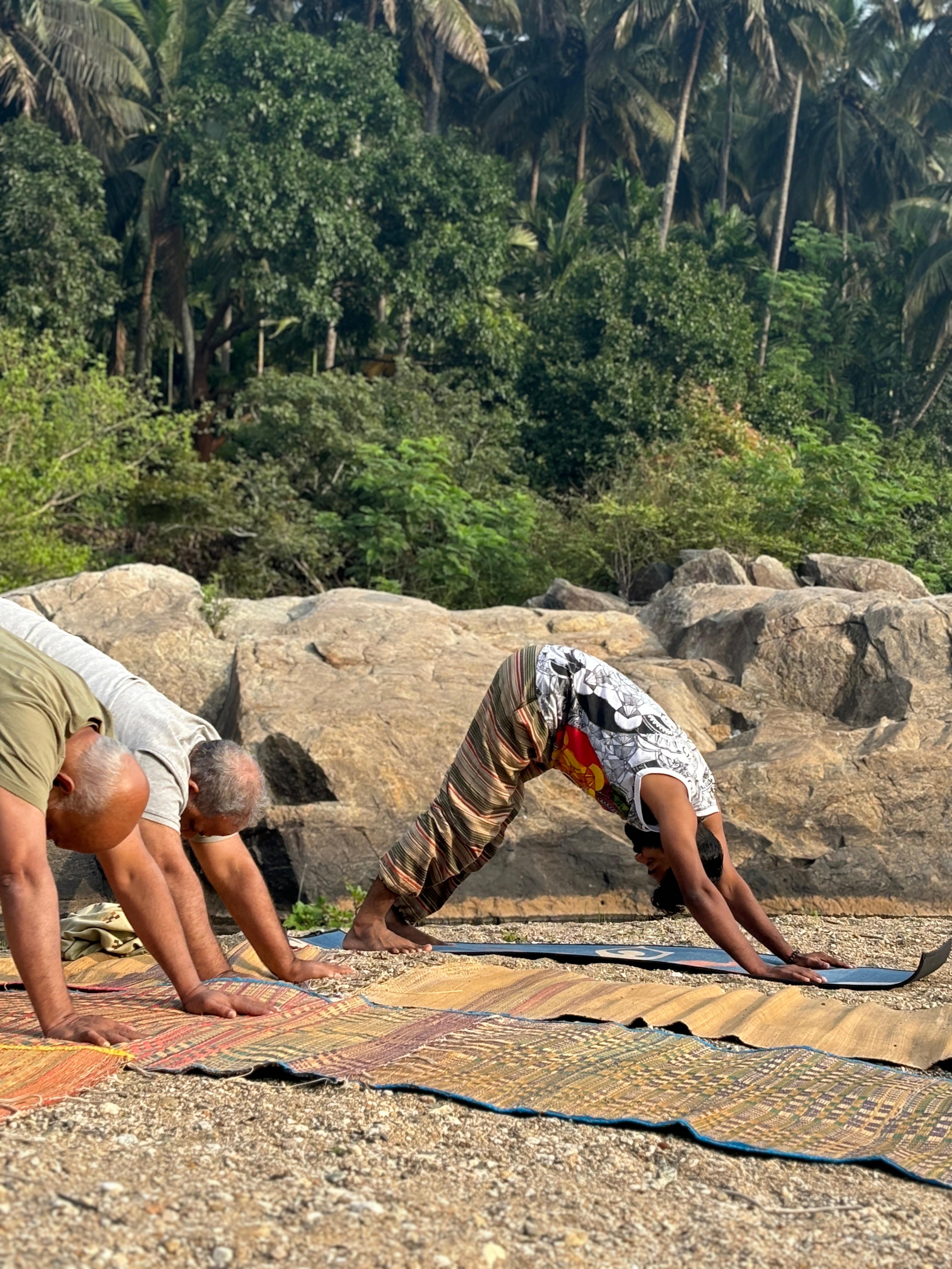 Wellness Activities